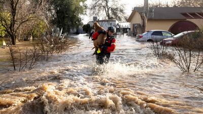 San Diego firefighter Brian Sanford rescues a dog from a flooded home. AFP