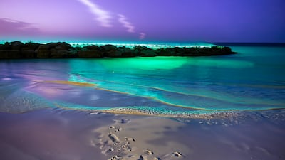 Luciferin Shores (2023) by Emirati artist Jumairy. Photo: DCT Abu Dhabi