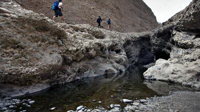 A new strategy is being develpped to protect wetlands such as Wadi Wurayah in Fujairah. Silvia Razgova / The National