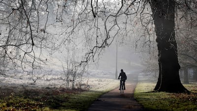 A cyclist rides in a frost-covered Hyde Park in London in January. AFP