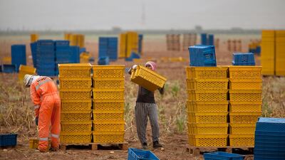 The Elite Argo official argued that consumers need to be made aware of locally produced quality products that are produced in accordance with FCA rules and international standards.