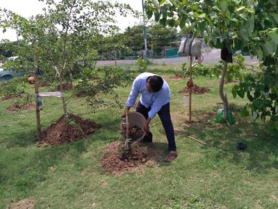 'Tree Man' Amresh Samanth plants locally grown trees, including teak and mango, that have deeper roots and can help to “control soil erosion. Photo: Amresh Samanth