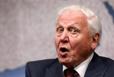 During a Skype interview David Attenborough told Greta Thunberg she had achieved things that many people working on climate change had failed to achieved. Reuters