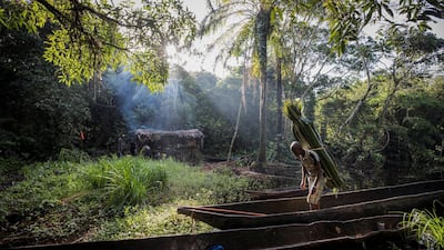 A thatcher carries materials to mend his hut deep in the forest near the city of Mbandaka, Democratic Republic of the Congo. Reuters