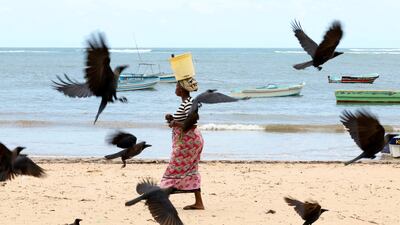 Crows fly at Baobab beach in Malindi, Kenya. Reuters