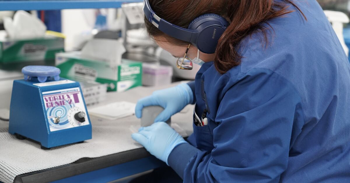 Lab Instrument Rep Covid Testing Hunting for Omicron inside America's largest Covid testing lab | The ...