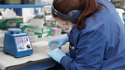 A scientist at Mako Medical Laboratories prepares to use a gene mixer. Willy Lowry / The National