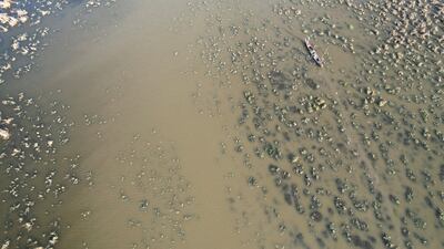 Fishermen chart a course through the Chibayish marshes, in Iraq's Dhi Qar province. Reuters