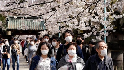 Visitors wearing masks stroll under cherry blossoms at Ueno Park in Tokyo, Japan. EPA