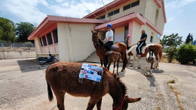 Citizens arrive on horseback to vote at a general election polling station in Nafplio, Greece. EPA