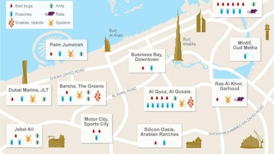 The majority of the complaints came from residents in Deira, Satwa and Bur Dubai.