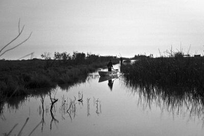 The photographs show daily life in the marshes. Photo: Aymen Al-Ameri