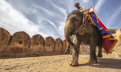 A man rides an elephant outside Amber Fort, Jaipur, India.