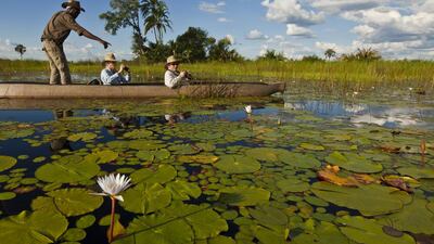 The best guides stimulate your curiosity, and by extension your holiday, with insider information. Image by Ralph Lee Hopkins / National Geographic Society / Corbis