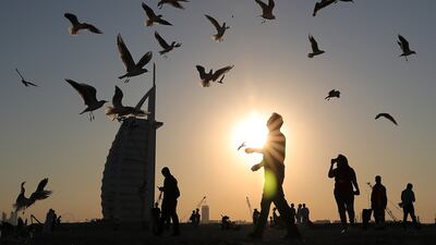 Jumeirah Beach near the Burj Al Arab hotel in Dubai. Many domestic and international buyers are entering the Dubai property market for the first time, experts say. Pawan Singh / The National