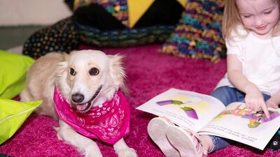 Studies have found that reading to dogs improves children's fluency by up to 30 per cent. Reem Mohammed / The National
