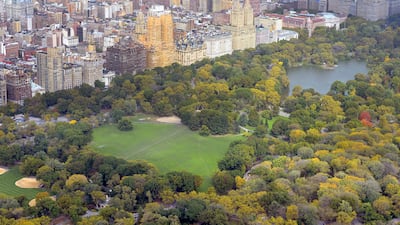 The sprawling Central Park in New York City. AFP