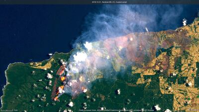 This satellite image released by Copernicus Sentinel Imagery on December 31, 2019, shows wildfires across South Australia. AP