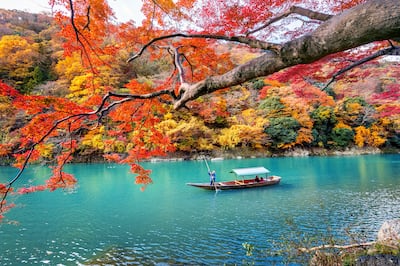 Kyoto is a celebrated Japanese destination for the annual momijigari, or autumn leaf-viewing season. Getty Images