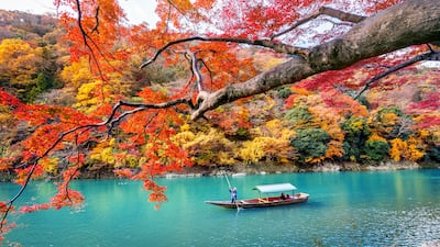 Kyoto is a celebrated Japanese destination for the annual momijigari, or autumn leaf-viewing season. Getty Images