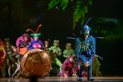 The fly character in Ovo by Cirque du Soleil. Khushnum Bhandari / The National
