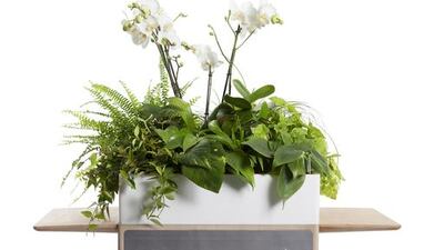 Bloombox. Courtesy BorisXGreenworks