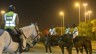 Horses have a strong presence in Abu Dhabi