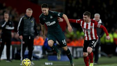 Newcastle defender Federico Fernandez under pressure from John Fleck of Sheffield United. Getty