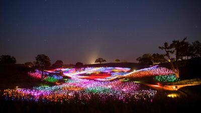 Fibre optic lights glow at the Field of Light immersive art installation by artist Bruce Munro, part of the Light at Sensorio exhibition in Paso Robles, California. AFP
