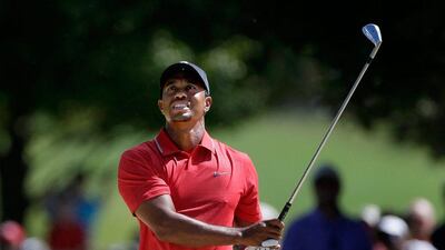 Tiger Woods may not have won a major, but he has had a very successful season. John Bazemore / AP Photo