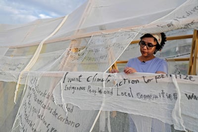 Egyptian artist Bahia Sheha beside her installation "Heaven & Hell in the Anthropocene", at the Cop27 climate summit in Sharm El Sheikh, on November 14, 2022. AFP