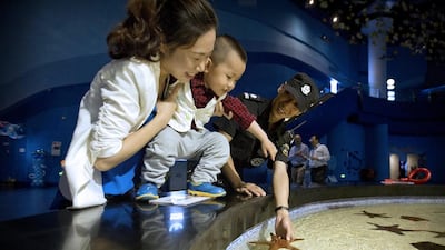 A security guard helps lift a starfish for a toddler at a hands-on exhibit at the indoor ocean park aquarium at Wanda City. Mark Schiefelbein / AP