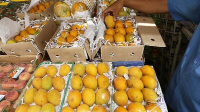 Indian mangoes at one of the fruit shop in Al Aweer Fruit and Vegetables Market in Dubai. Pawan Singh / The National