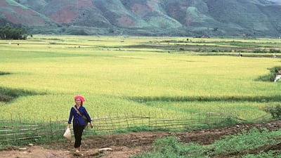 Vietnamese author Nguyen Phan Que Mai's first novel is set against the Vietnam War and is told through the stories of three women. Getty Images