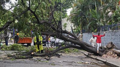 Commuters walk next to a fallen tree as members of Disaster Response Force work on a street following a monsoon rainfall in Secunderabad, the twin city of Hyderabad in India. AFP