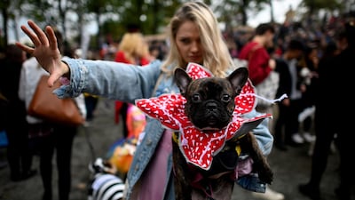 A dog dressed in a Stranger Things costume attends the Tompkins Square Halloween Dog Parade in Manhattan in New York City. AFP