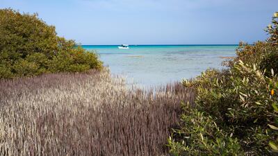 The Red Sea Project will turn untouched coastlines into one of Saudi Arabia's biggest tourism projects where conservation is key. Courtesy The Red Sea Development Company