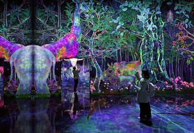 Visitors to teamLab Planets Tokyo walk through shallow water with projections on the surface. EPA