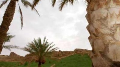 Planners will also seek to protect the traditional image of Al Ain as a green haven for the rest of the emirate.