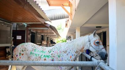 The ponies are painted with non-toxic, pet-safe, washable finger paints