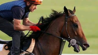 Rocket Man is seven year old now and has put on weight.