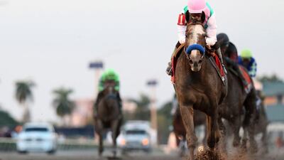 Arrogate is the pre-race favourite for the $10 million Dubai World Cup. Mike Ehrmann / Getty Image