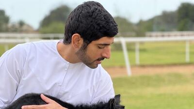 Sheikh Hamdan bin Mohammed, Crown Prince of Dubai, has asked for help naming his adorable new baby pony. Photo: Instagram / Sheikh Hamdan