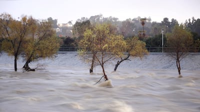 The Los Angeles River is often so dry that cars can drive in it. Reuters