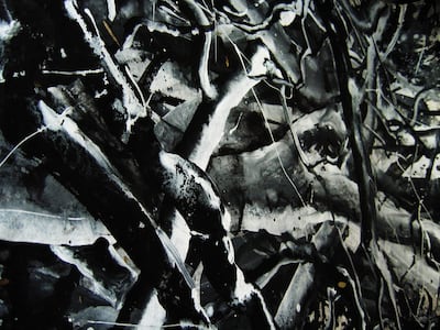 'Male Nature 1' by Aisha Juma.