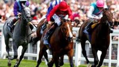 Paco Boy, centre, ridden by Richard Hughes, goes on to win the Queen Anna Stakes at Royal Ascot. Paco Boy had finished eighth to the hot favourite Gladiatorus at Nad Al Sheba in Dubai in March earlier this year.