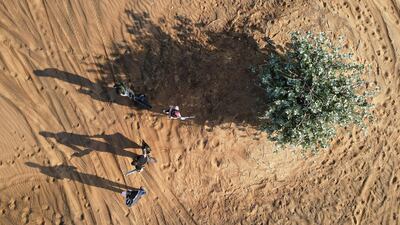Members collect trash during the desert clean-up drive.