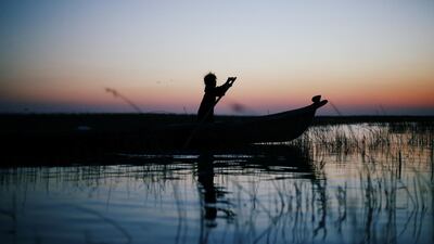 An Iraqi Marsh Arab girl paddles her boat at the Chebayesh marsh in Dhi Qar province. Reuters
