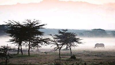 Mashreq's travel programme offers customers up to 25 per cent discounts on more than 50 holiday packages.Courtesy The Safari Collection