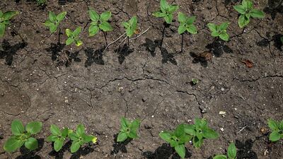 The event, set to be held in Dubai this year, will see 10 regional startups introduced to angel investors willing to inject seed funding to help launch or scale up the businesses. Getty